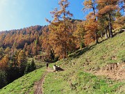 38 Splendenti colori autunnali dei larici